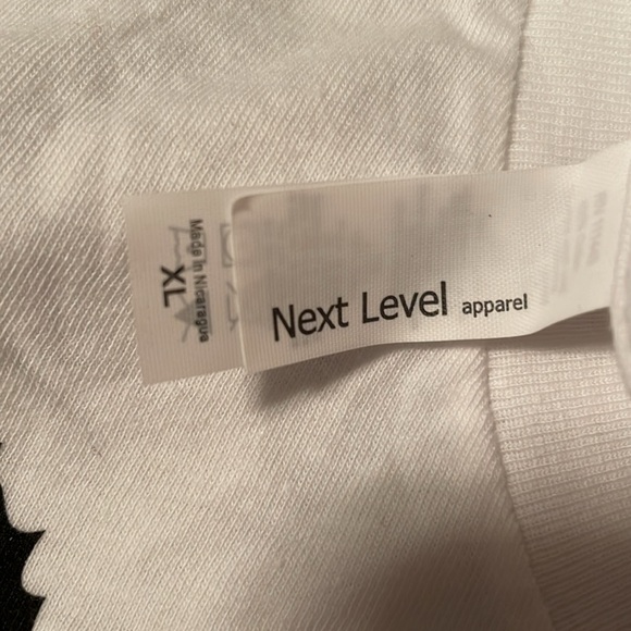 Panda Disney Vacation Club Member Cruise 2016 Disneynature Born in China XL Tee - Picture 6 of 9